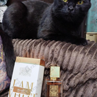 Парфюм Lattafa Perfumes Ana Abiyedh Poudree