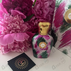 Отзывы Moresque Divina Marchesa