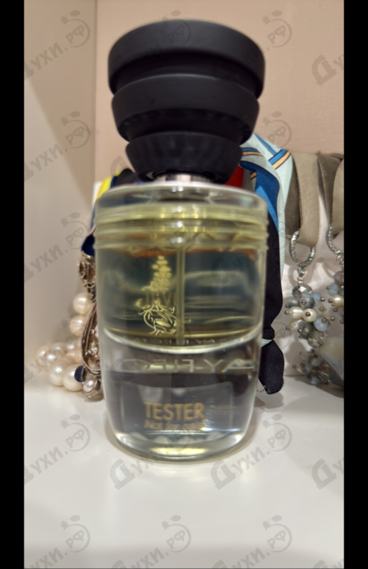 Купить Masque Milano Ray-Flection