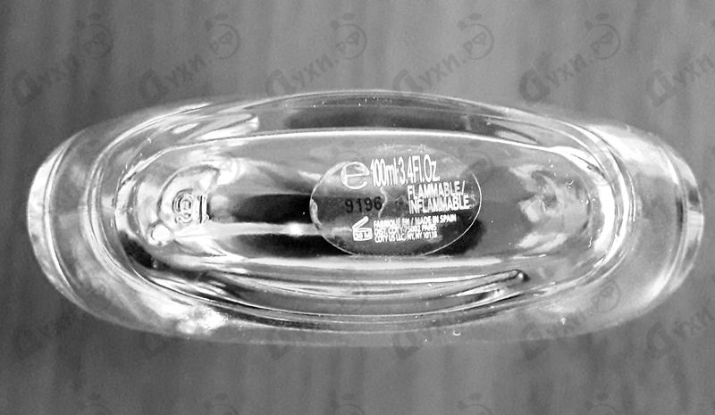 Купить Team Force от Adidas