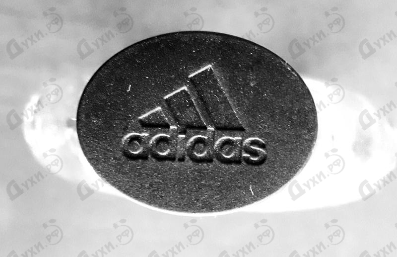 Купить Team Force от Adidas