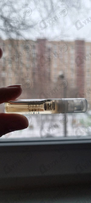 Купить Dia от Amouage