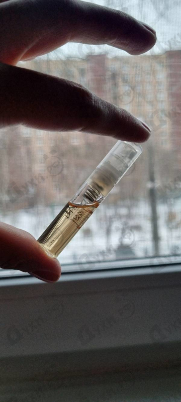 Отзывы Amouage Dia