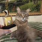 Парфюм Amouage Gold