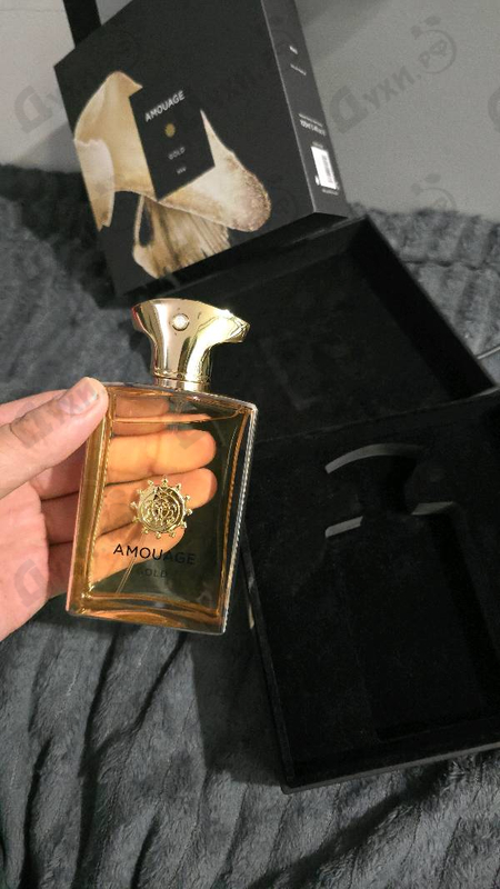 Купить Gold от Amouage
