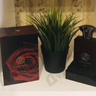 Парфюм Amouage Lyric