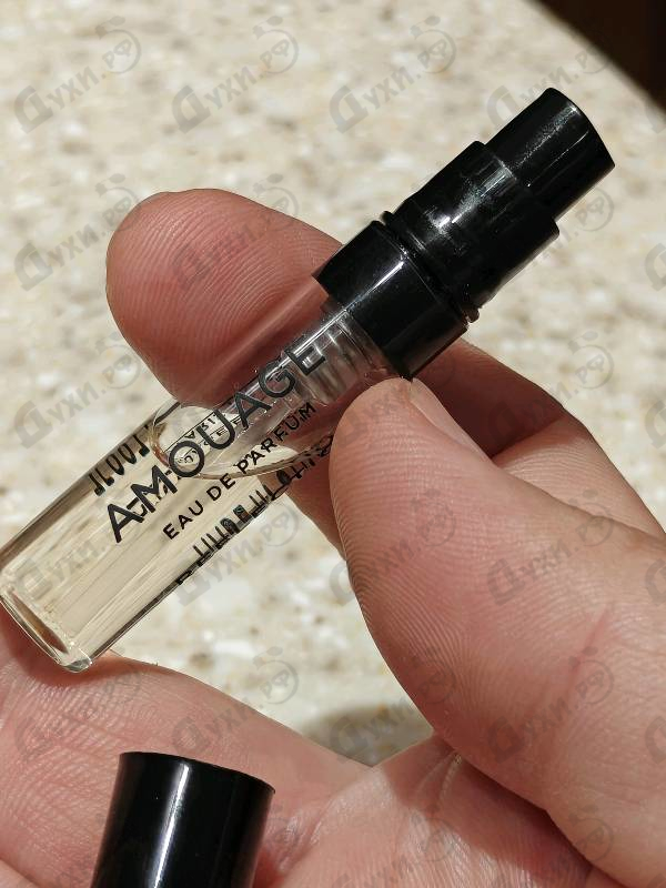 Купить Reflection от Amouage