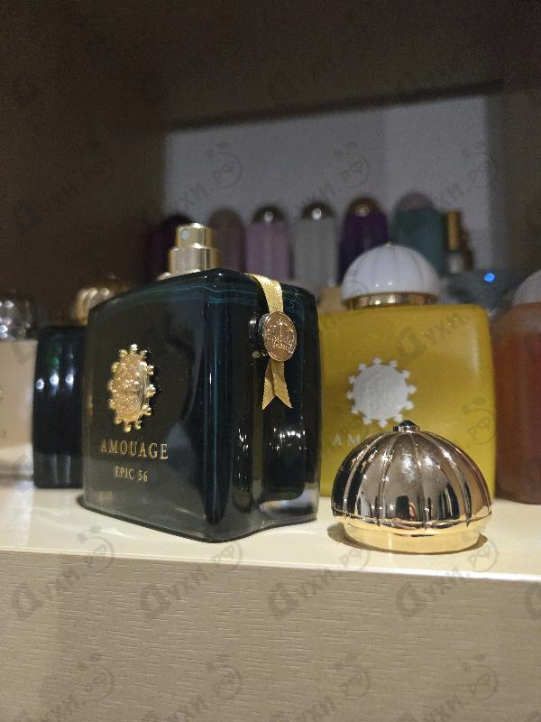 Купить Amouage Epic 56