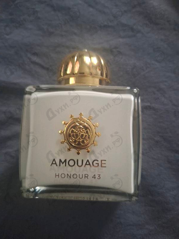 Купить Honour 43 от Amouage