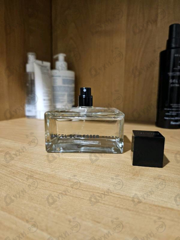 Купить Men от Angel Schlesser