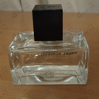 Парфюм Angel Schlesser Men