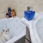 Парфюм Antonio Banderas Blue Seduction