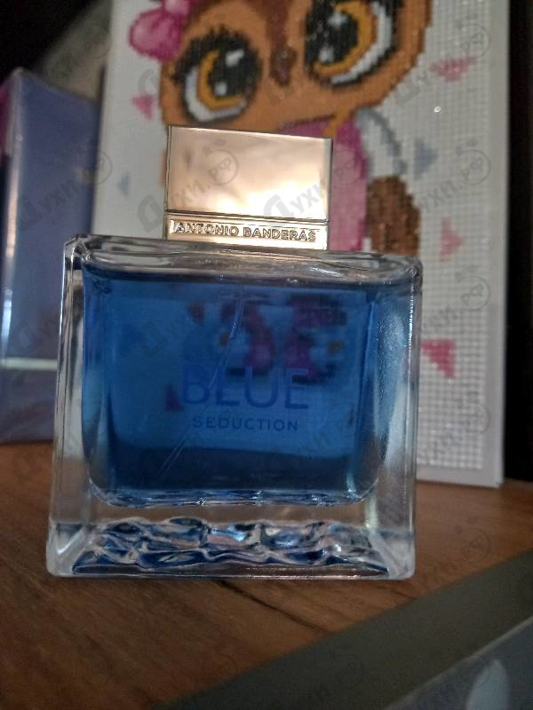 Купить Blue Seduction от Antonio Banderas