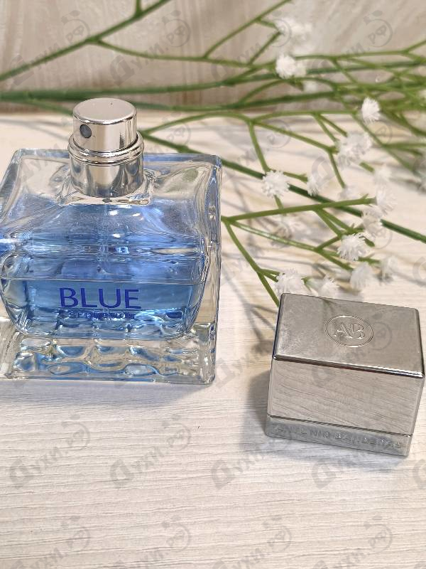 Купить Blue Seduction от Antonio Banderas