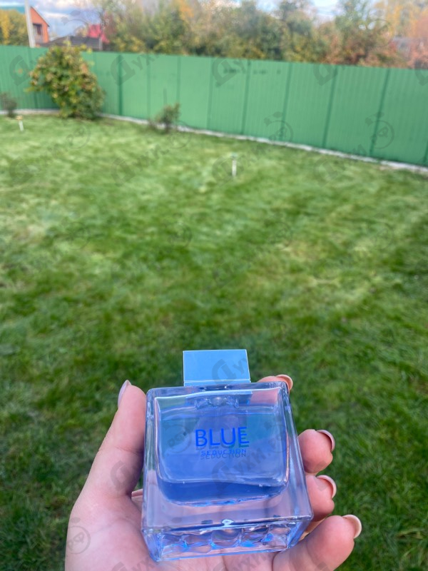 Купить Blue Seduction от Antonio Banderas