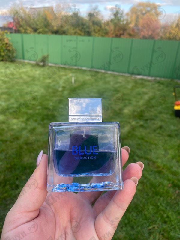 Купить Blue Seduction от Antonio Banderas