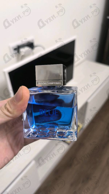 Купить Blue Seduction от Antonio Banderas