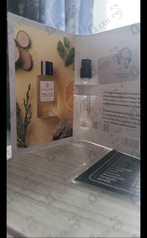 Парфюмерия Orange X Santal от Essential Parfums