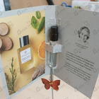 Отзывы Essential Parfums Orange X Santal