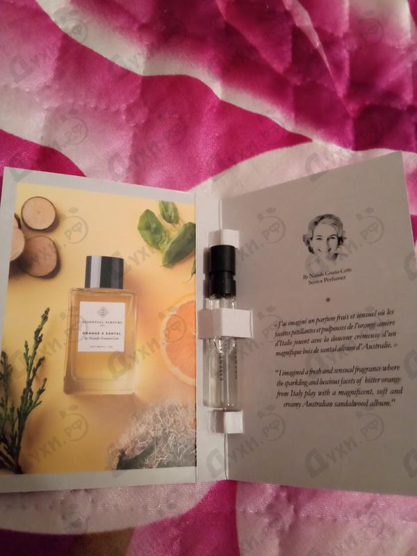 Купить Orange X Santal от Essential Parfums