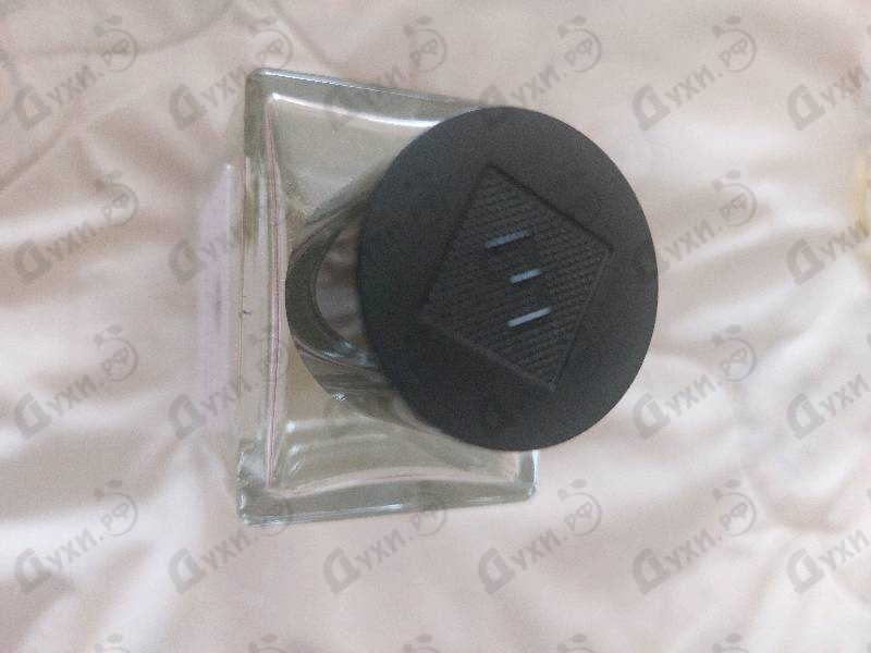 Купить Orange X Santal от Essential Parfums