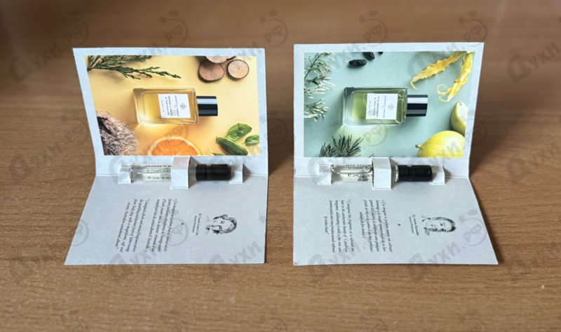 Купить Essential Parfums Orange X Santal