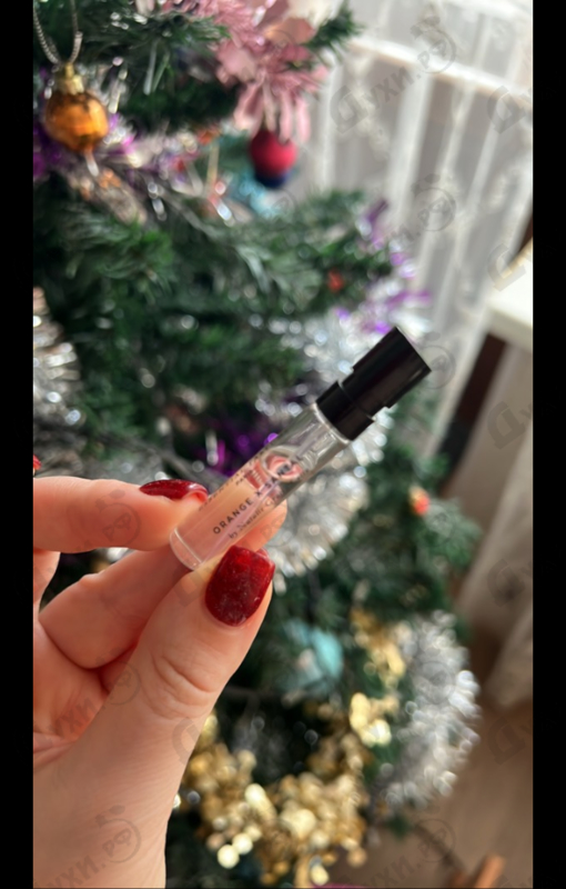 Отзывы Essential Parfums Orange X Santal