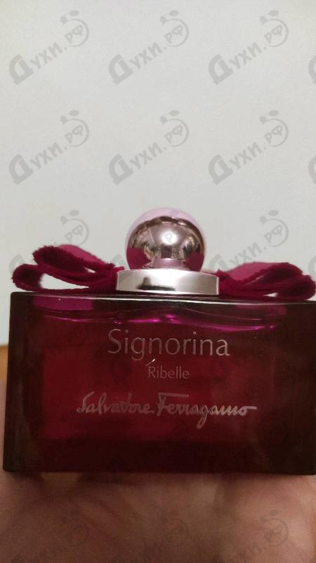 Купить Salvatore Ferragamo Signorina Ribelle