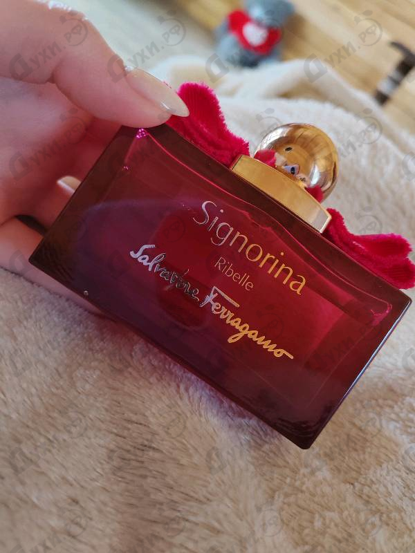 Отзыв Salvatore Ferragamo Signorina Ribelle