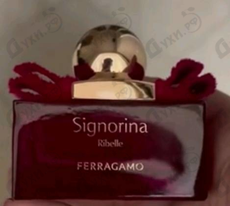 Отзывы Salvatore Ferragamo Signorina Ribelle