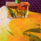 Отзыв Saledo Spring Affairs