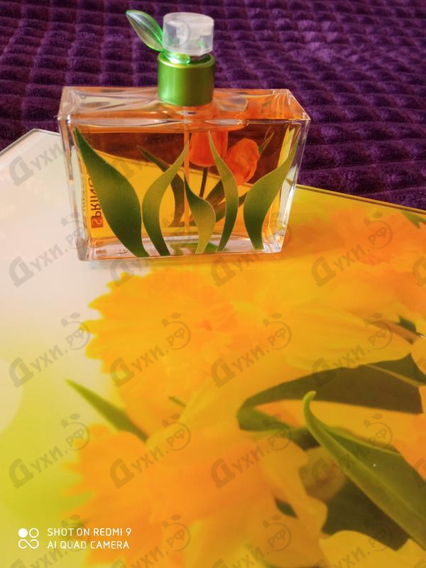 Парфюмерия Saledo Spring Affairs Духи Spring Affairs от Saledo