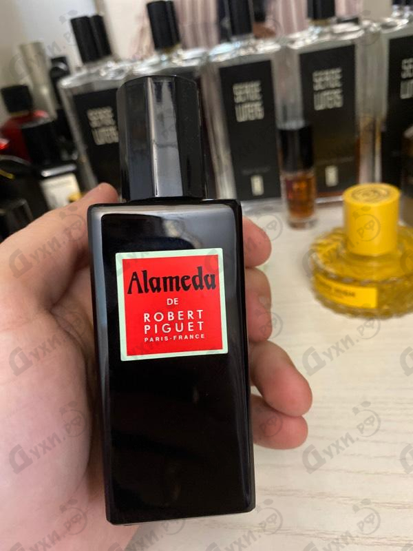 Парфюмерия Alameda от Robert Piguet Отзыв Robert Piguet Alameda