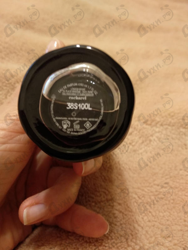 Купить Yes I Am Pink First от Cacharel