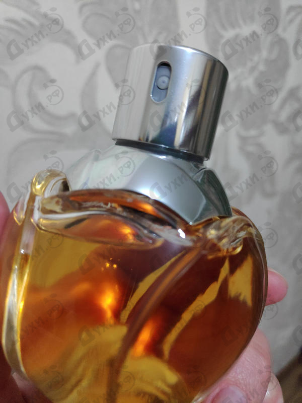 Парфюмерия Wanted Girl от Azzaro