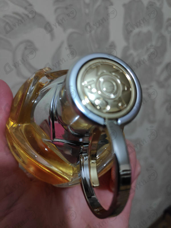 Купить Wanted Girl от Azzaro