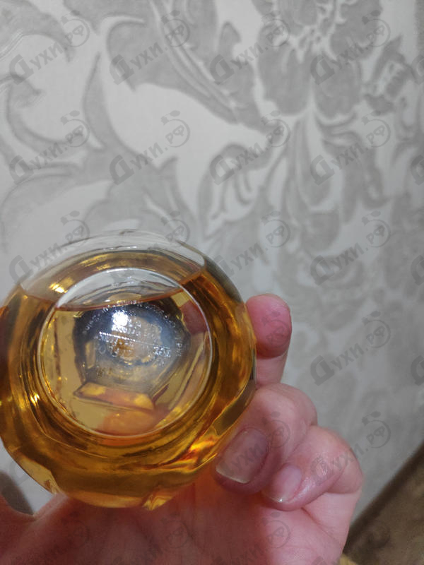 Отзыв Azzaro Wanted Girl Парфюмерия Wanted Girl от Azzaro