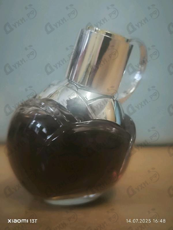 Купить Wanted Girl от Azzaro