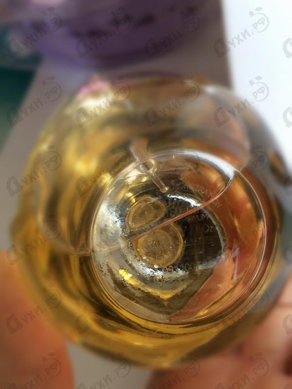 Парфюмерия Wanted Girl от Azzaro