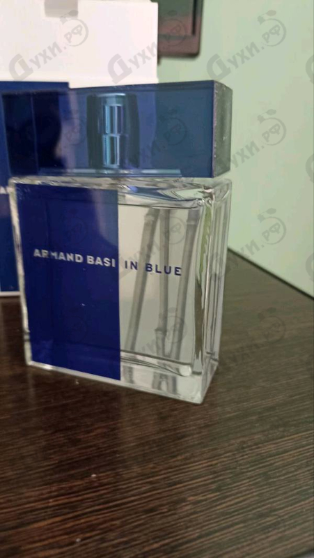 Купить Armand Basi In Blue