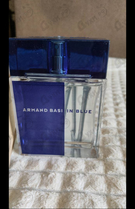 Купить In Blue от Armand Basi