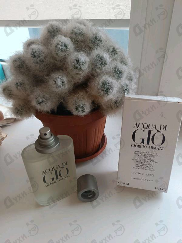 Купить Acqua Di Gio от Giorgio Armani