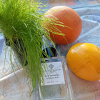 Отзыв Essential Parfums Bois Imperial