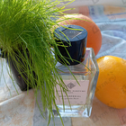 Отзывы Essential Parfums Bois Imperial