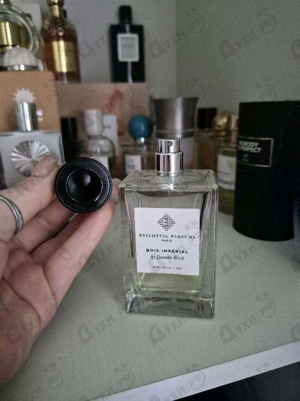 Купить Bois Imperial от Essential Parfums