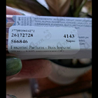 Отзывы Essential Parfums Bois Imperial