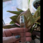 Отзыв Essential Parfums Bois Imperial