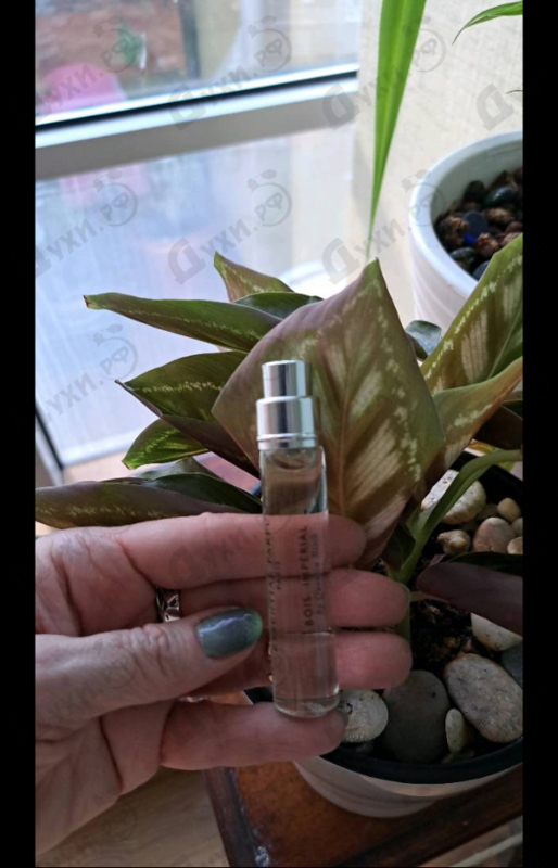 Духи Bois Imperial от Essential Parfums