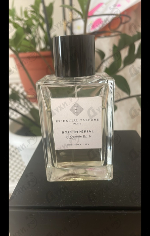 Купить Bois Imperial от Essential Parfums