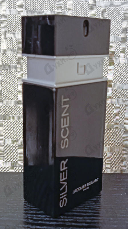 Отзывы Bogart Silver Scent